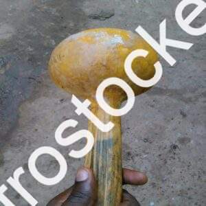 Calebasse servant de louche en cuisine traditionnelle africaine HD 5000px Calebasse servant de louche en cuisine traditionnelle africaine HD 5000px