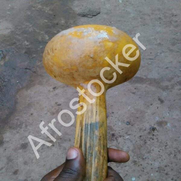 Calebasse servant de louche en cuisine traditionnelle africaine HD 5000px Calebasse servant de louche en cuisine traditionnelle africaine HD 5000px